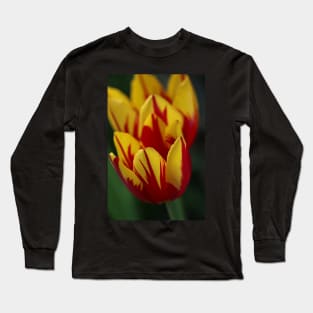 Tulips in yellow and red Long Sleeve T-Shirt